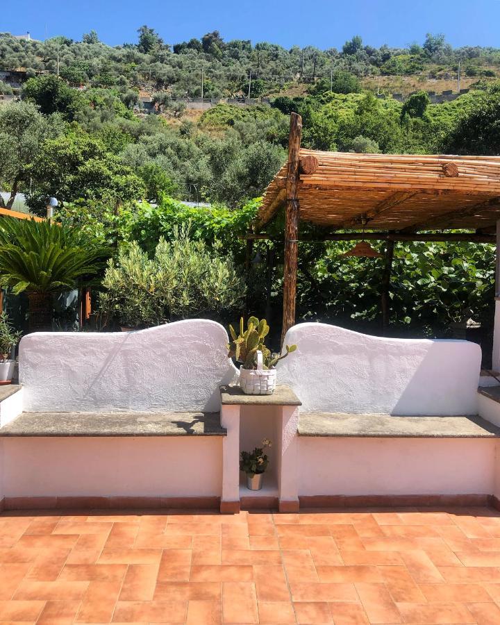 Donna Cateri Holiday home Termini